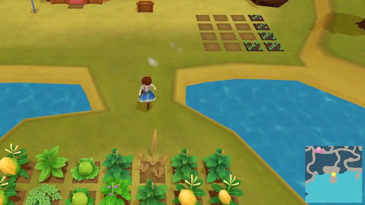 Sweet Home Best Harvest Moon Switch Game Rent Harvest Moon: One